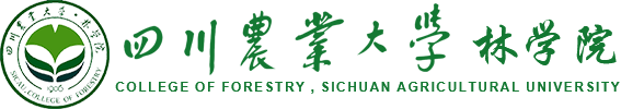 美加墨世界杯官方